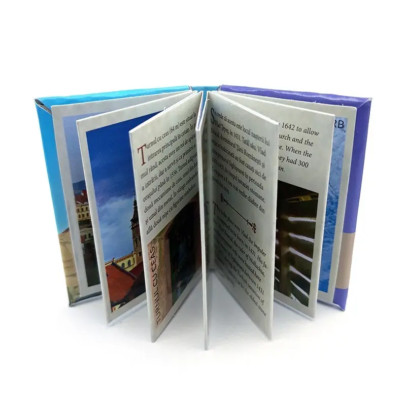 Sighisoara, magnet carte